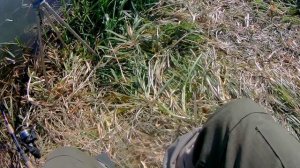 Березина.Рыбалка на фидер..