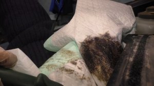 Раскоксовка Toyota Prius