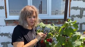 А у нас в доме ГАЗ!! А у Вас? Утепляем Крышу, покупаем батареи в Дом у Моря
