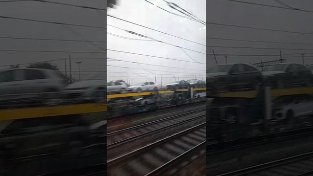 VID-20241024-WA0050