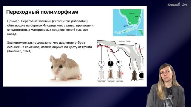 Шурупова Яна Андреевна - Теория эволюции - 4. Изменчивость