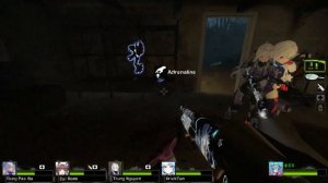 Left4Dead2 Anime mods