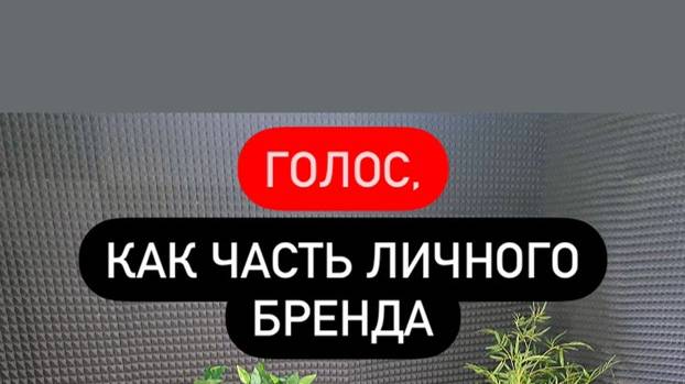Голос, как часть личного бренда.