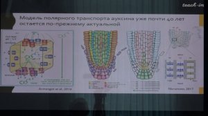 Лабунская Е.А. - Рост и развитие растений - 3. Ауксины