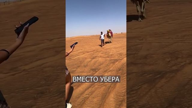 подпишись🙏.mp4