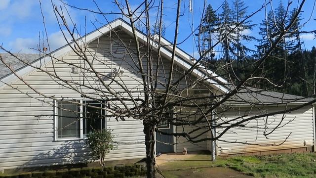 Pruning our ancient apple trees! смотреть онлайн