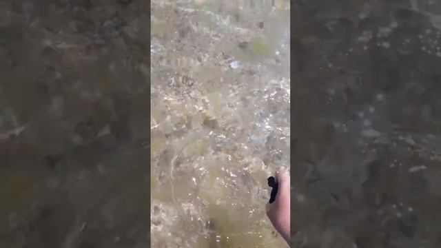 нашла в море сокровища смотреть онлайн