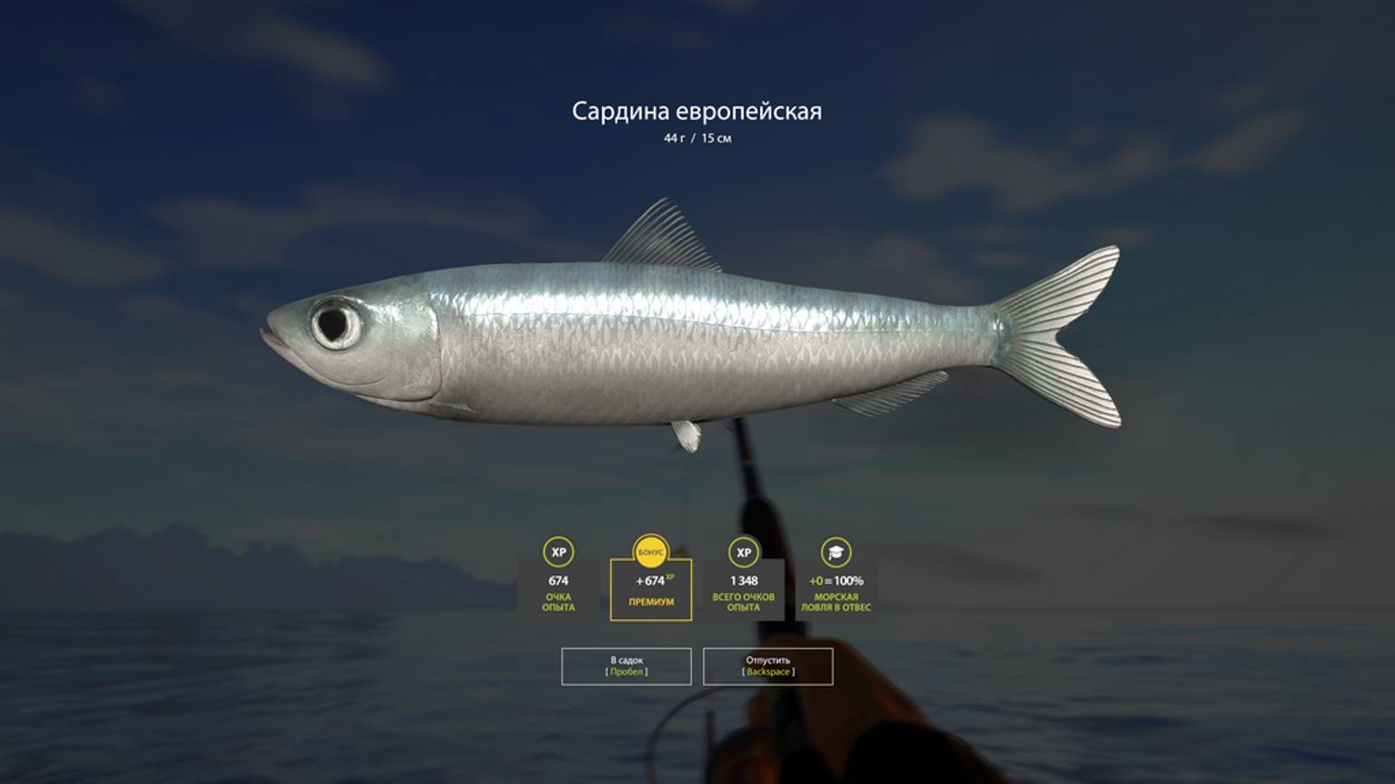 Русская Рыбалка 4 PC 2018  краткий обзор