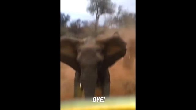 Я_РЖАЛ_ДО_СЛЕЗ,_ЛУЧШИЕ_ПРИКОЛЫ_СМЕШНЫЕ_ВИДЕО,_ПОДБОРКА_ПРИКОЛОВ