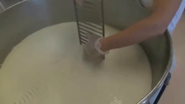 Производство Сыра Томм из овечьего молока