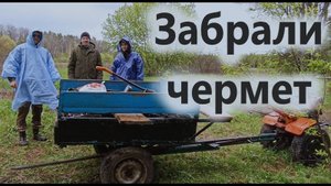 Вернулись за металломом, нашли монеты.