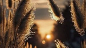 Душевные Истории из Жизни - После ипотеки - пустота.....