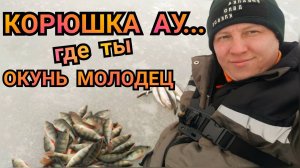 ТАКИХ ОКУНЕЙ Я ДАВНО НЕ ВИДЕЛ. КОРЮШКА АУ.. ГДЕ ТЫ.