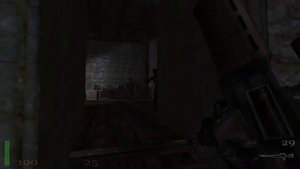 RETURN TO CASTLE WOLFENSTEIN [031] Zurück nach Schloss Wolfenstein [Let's Play] [Linux] [Deutsch]