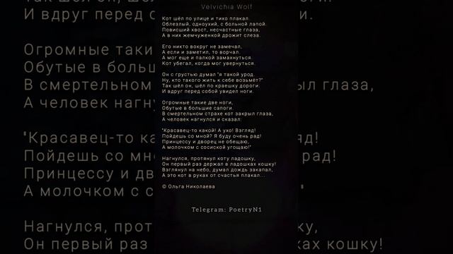 Кот шёл по улице и плакал... #стихи #поэзия #shorts