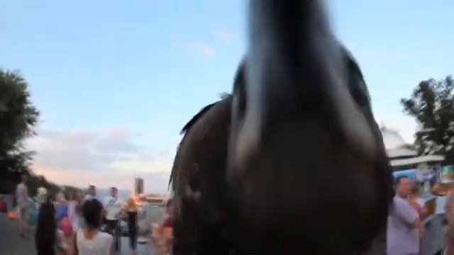 Ahi Ahi Ahi - De La Ghetto (95 125)(REGGAETON ELECTRO)Video Sound By Deejay Ehl Nicko 2014