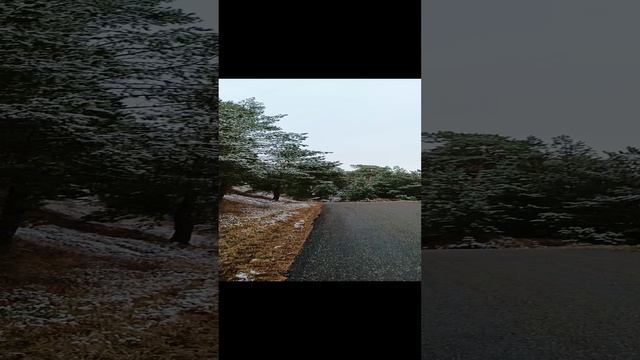 1000008546.mp4