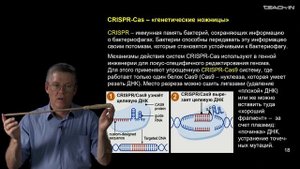 Дубынин В.А.-100 часов школьной биологии -2.23.Биотехнологические модификации и селекция организмов