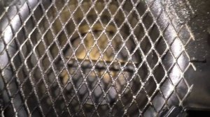 Эндоскопия лодочного мотора Yamaha 300