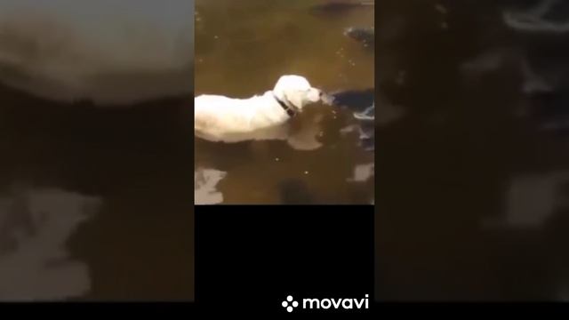 настоящий рыбак