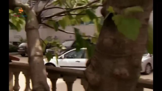 ХОМИЁН | 12.КИСМ смотреть онлайн