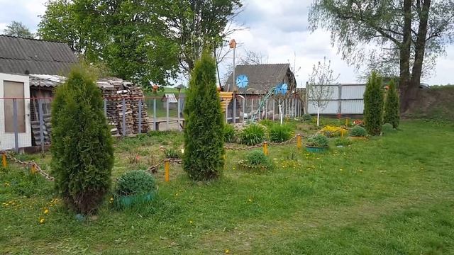 Белорусский Кулибин построил это чудо в чистом поле