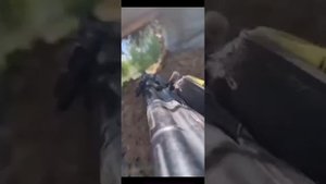 песня СВО