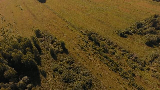 УЧАСТОК НА ВОЛГЕ ТВЕРСКАЯ ОБЛАСТЬ  СТАРИЦКИЙ РАЙОН д ТЕХМЕНЕВО. Под ГЛЭМПИНГ. +79066531548