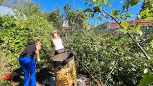 Второй день разбора участка, сжигаем ветки и кусты