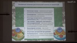 Константинова С.В. - Физиология и биохимия растений - 1. Общие черты растительной и животной клеток