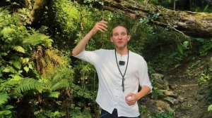 Как быстро успокоится, если вас одолел сильный стресс.#стрес #психология