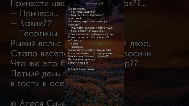 Он ей пишет...  #стихи #поэзия #shorts