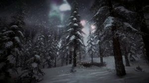 Зимняя буря со снегом и сильным ветром