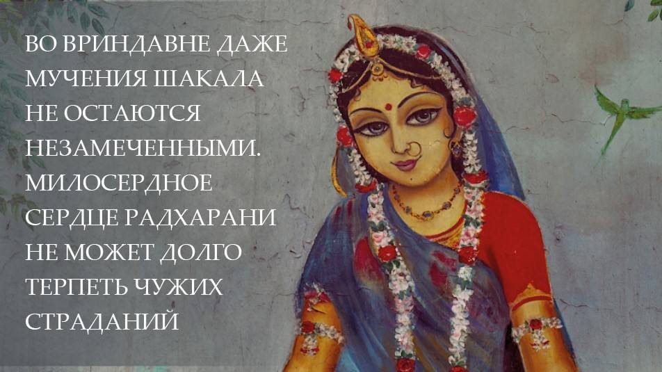 Вдохновение на Картику 2024 (день 14) от Е.С.Шачинандана Свами