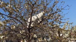 УРА!!! СНЕСЛИ КРЫШУ !! Дом мечты у Моря!! РАЗРУШЕНИЕ ЧАСТЬ 3