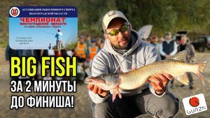 РИСК БЫЛ ОПРАВДАН | Отчёт с чемпионата Волгоградской области по спиннинговой ловле с берега 🐟