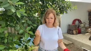 ПОРЯДОК на Участке, Делаем Пол на втором этаже, Забор, прогулка по Набережной.