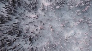 Национальный парк "Паанаярви" Покатушки на снегоходах по северу Карелии