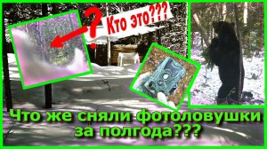 Что же сняли фотоловушки за полгода???