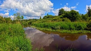 Красивое место, июль, речка Чёрная