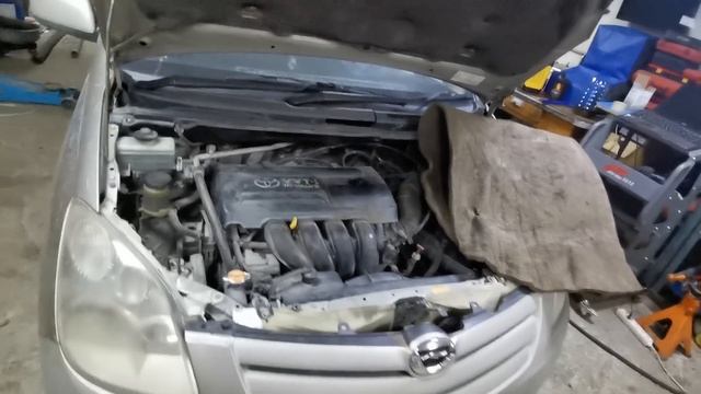 Срочная новость! Поделись видео и предупреди товарища! смотреть онлайн