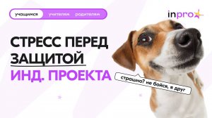 СТРЕСС ПЕРЕД ЗАЩИТОЙ ИНД. ПРОЕКТА | БОЮСЬ СДАЧИ!