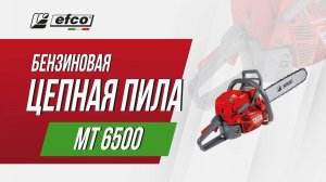 Бензопила Efco MT 6500