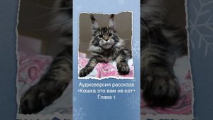 Аудио книга «Кошка - это вам не кот». Наталья Каледина. Читает автор. Глава 5