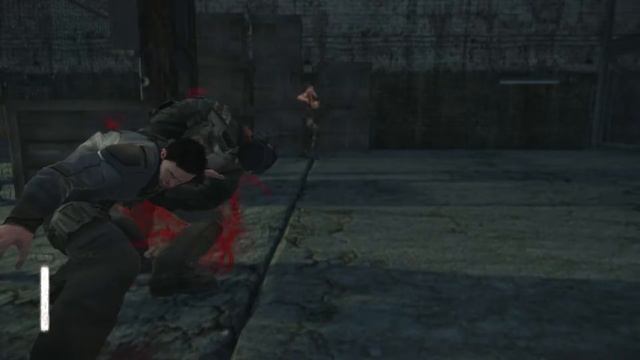 I played DEAD TO RIGHTS: RETRIBUTION for nostalgia