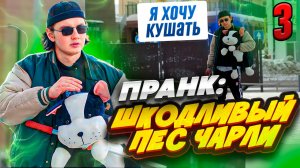 НЕСНОСНЫЙ ПЕС ЧАРЛИ 3