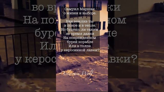 Как вежлив ты... Самуил Маршак….#shorts #стихи #поэзия