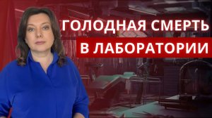 Голодная смерть в лаборатории: Как открытие лептина спасло миллионы жизней