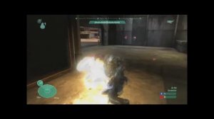 All Halo  Reach Assassinations