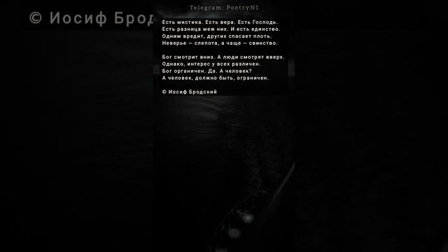 Иосиф Бродский #стихи #бродский #shorts